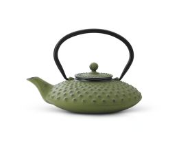 Bredemeijer 27 fl oz Teapot Cast Iron Green XILIN